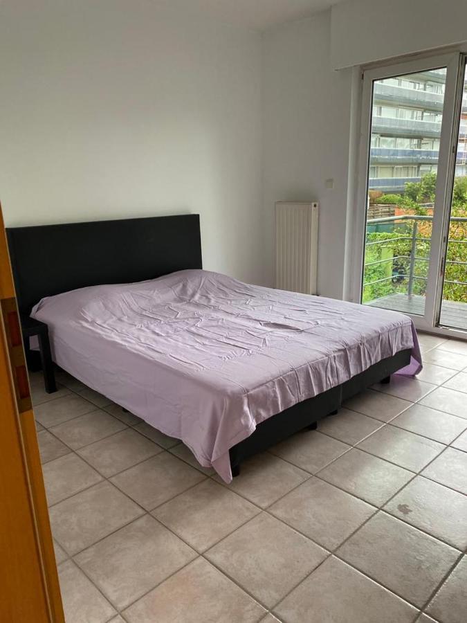 Superbe Appartement Lumineux Et Spacieux Antwerpen Buitenkant foto